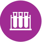 Implementation & Testing